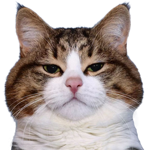 tray_icon #66542 sticker_pack