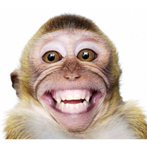 tray_icon #70806 sticker_pack